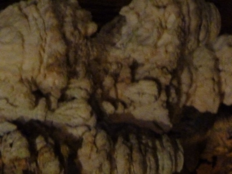 ../Images/2012-07-10-11h48m55 .jpg